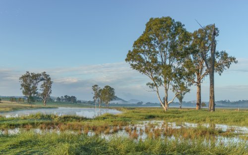 Early morning with light fog