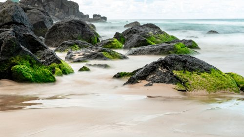 Point danger mossy rocks