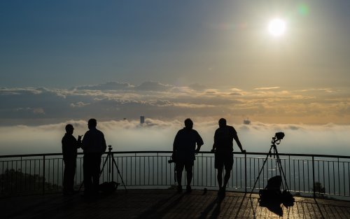 photographers silhouette early morning looking over Brisbane CBD