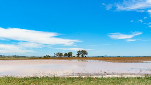 Flooded farm land after heavy rain